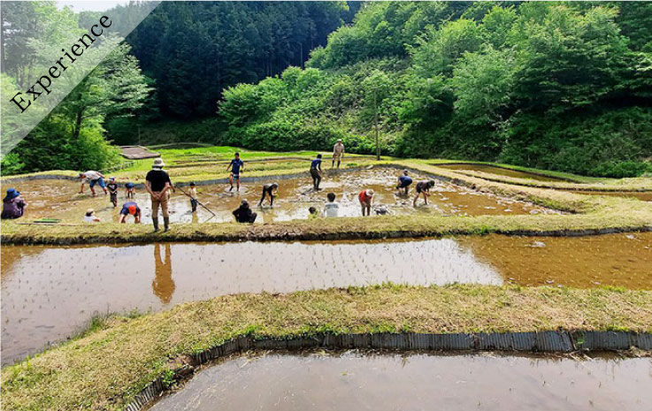新米プレゼント付き！親子里山体験あそび～田植え～