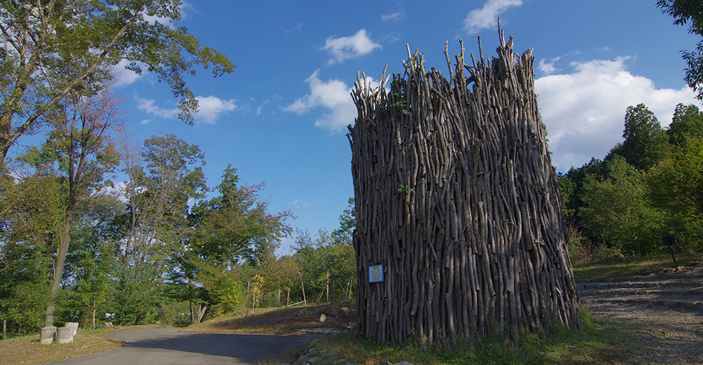 Forest Creation Workshop - Building the Tower of Life