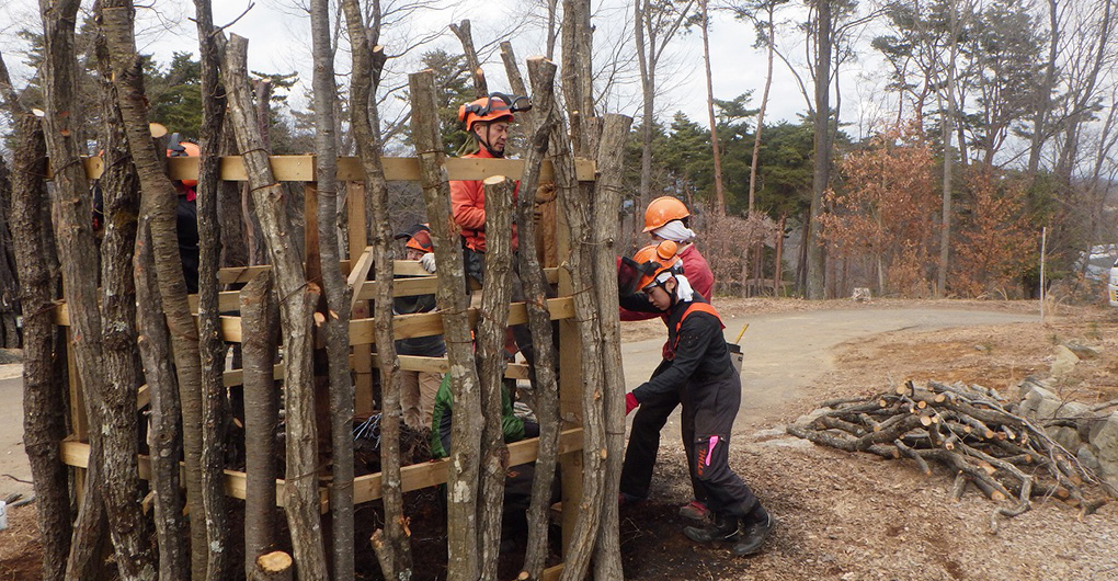 Forest Creation Workshop - Building the Tower of Life