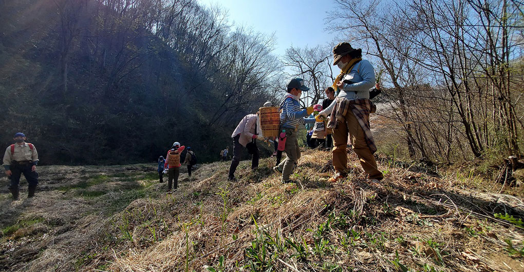 Forest Creation Workshop