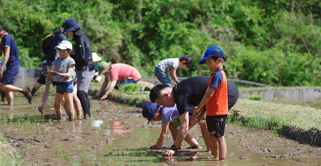 Parent-child mountain experience play