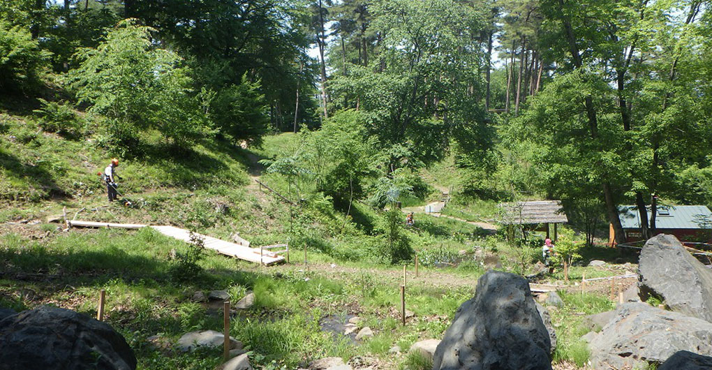 Forest Creation Workshop ~Grass Cutting~