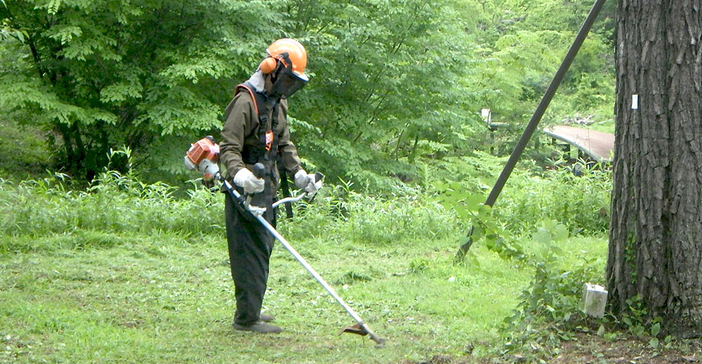 Forest Creation Workshop ~Grass Cutting~
