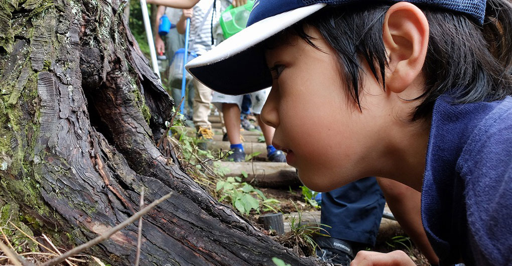 Creature Hunting Family Camp - Summer Creatures Edition -