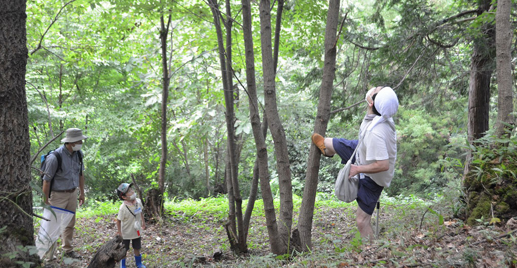 Morning Insect Collecting Tour