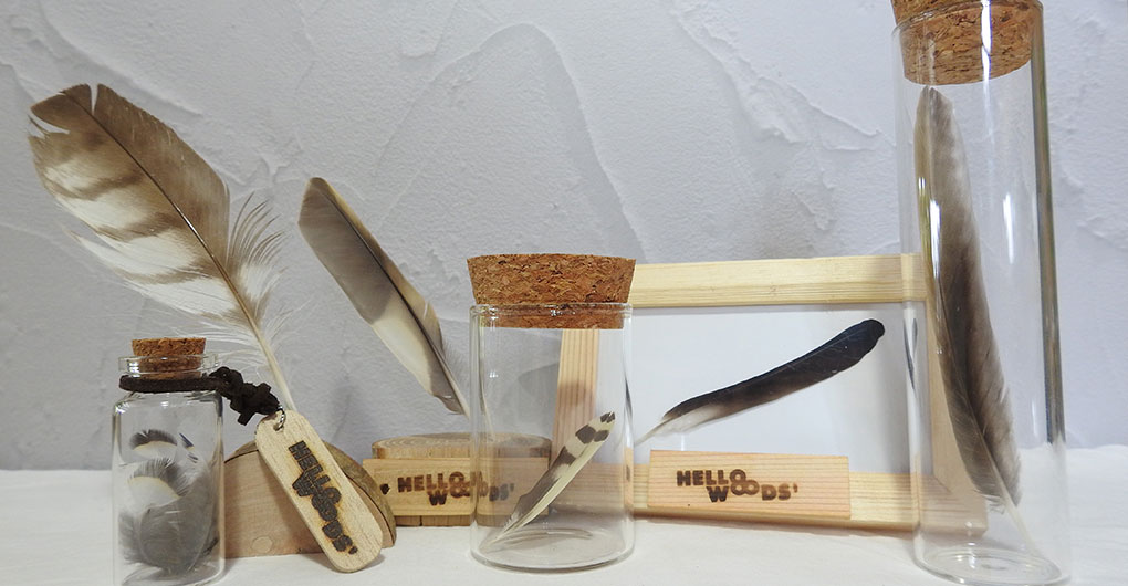 Wild Bird Feather Craft and Forest Walk