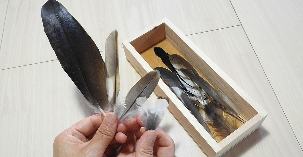 Wild Bird Feather Craft and Forest Walk