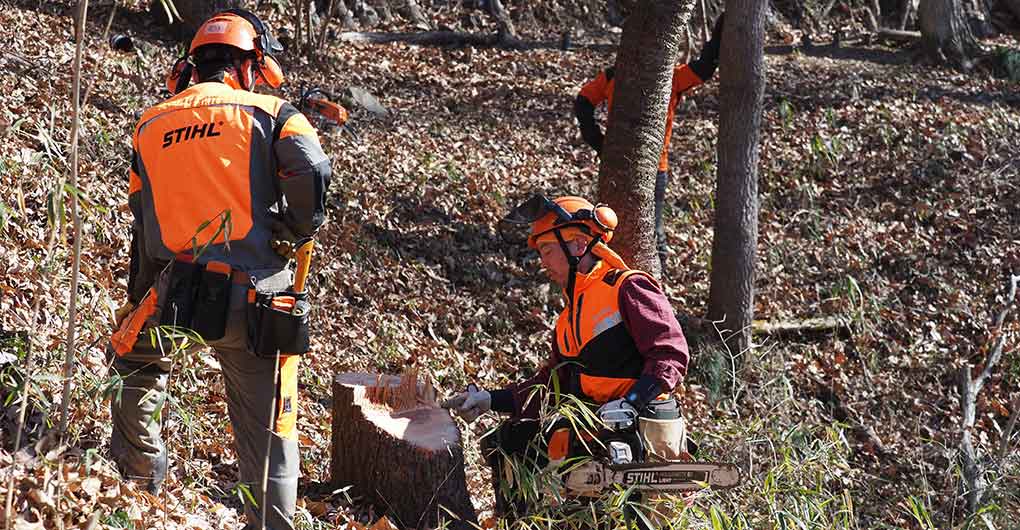 Forest Creation Workshop - Logging -