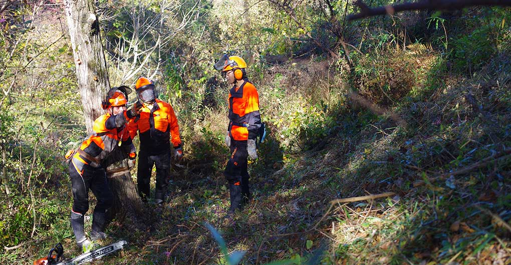 Forest Creation Workshop - Felling and Timber Extraction -