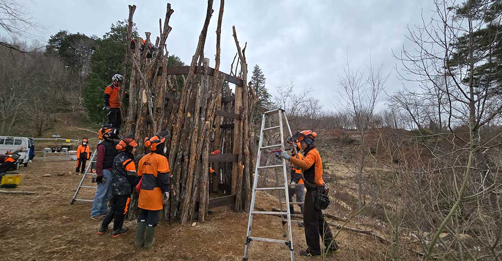 Forest Creation Workshop - Building the Tower of Life
