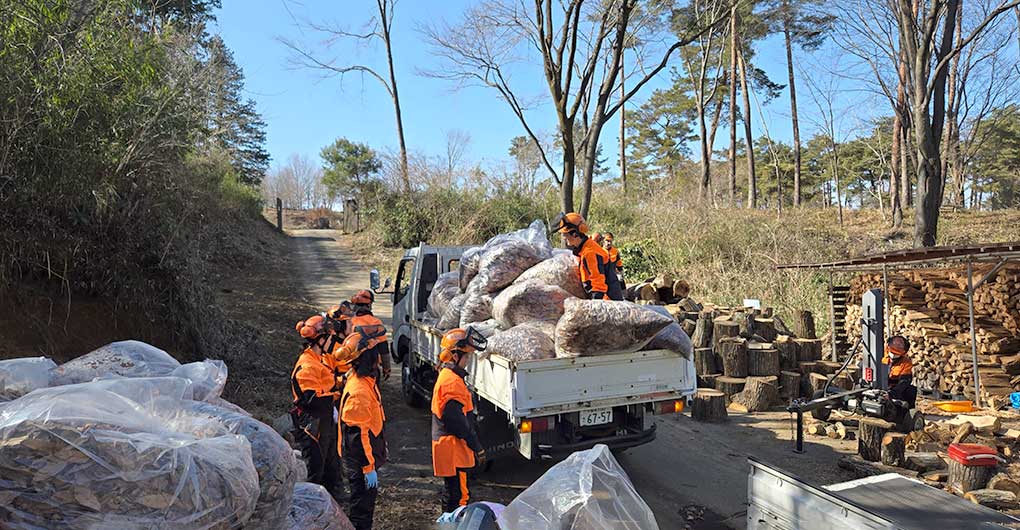 Forest Creation Workshop - Building the Tower of Life