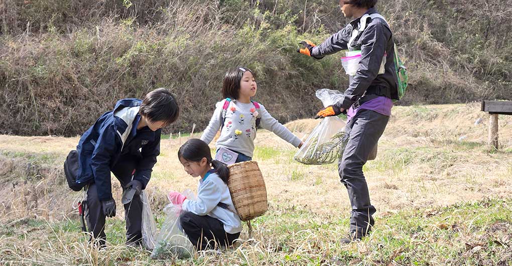Forest Creation Workshop - Starting in the Spring Satoyama