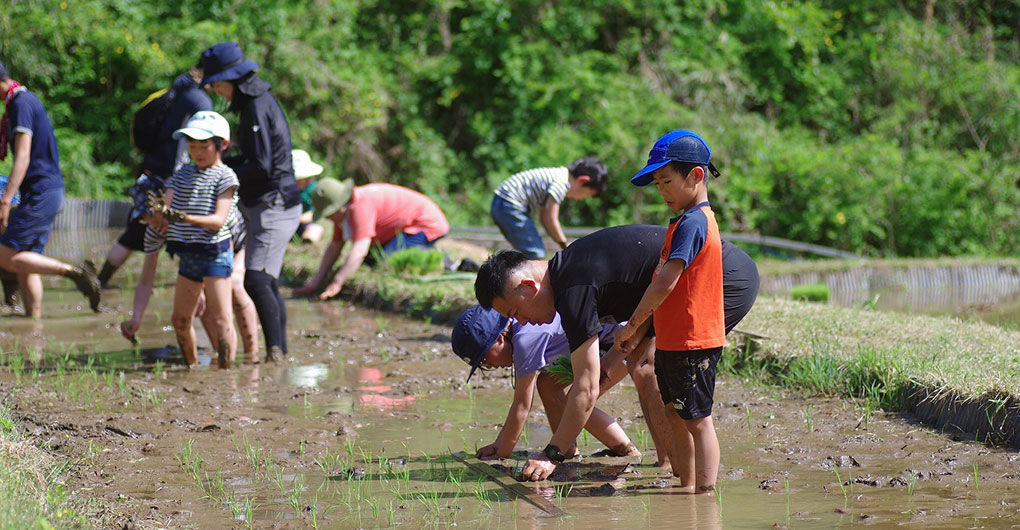 Includes a New Rice Gift! Parent-Child Satoyama Experience Play – Rice Planting –