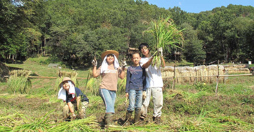 Includes a gift of new rice! Parent-child Satoyama experience play ~ Rice Harvesting ~