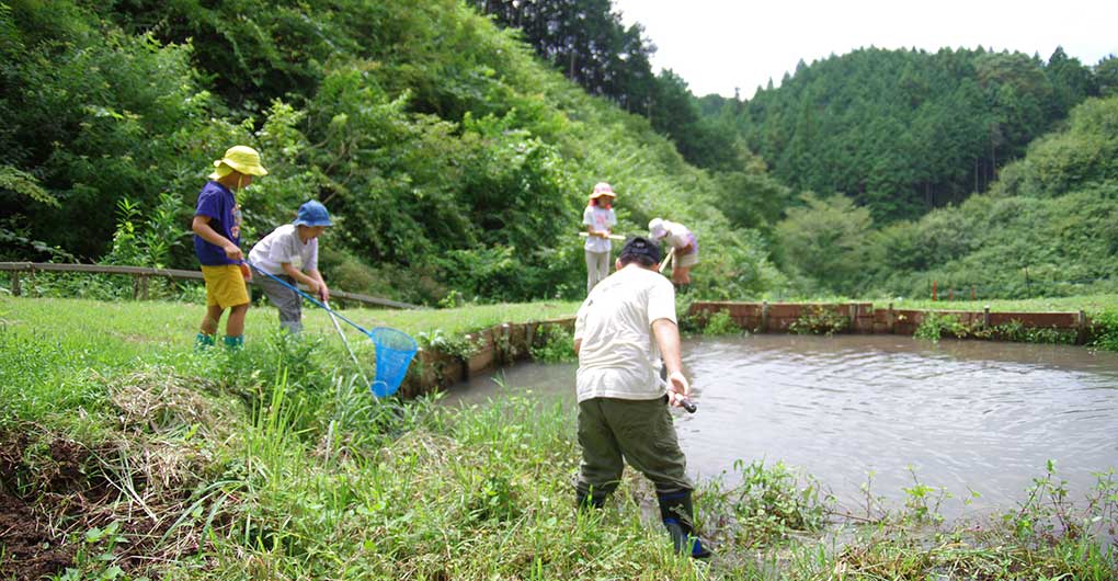 Includes a gift of new rice! Parent-child Satoyama experience play ~ Rice Harvesting ~