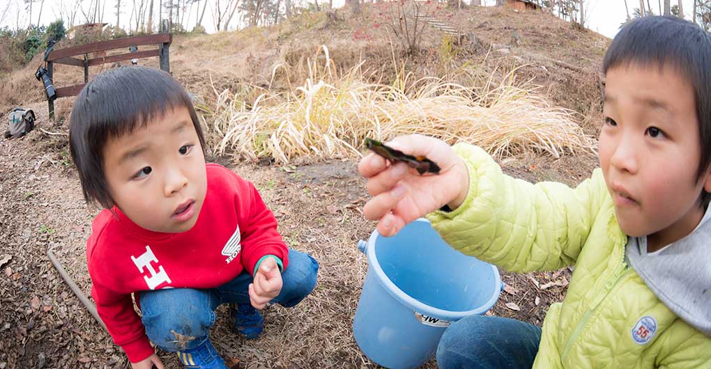 Pond Water Scooping and Creature Catching Experience