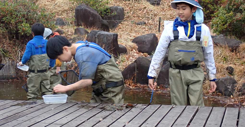 Pond Water Scooping and Creature Catching Experience
