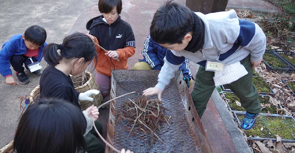 Acorn Forest Playful Exploration Team