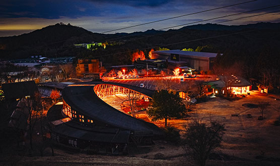 [Exclusive for Hotel and Camp Village Guests] Wonder Night Tour