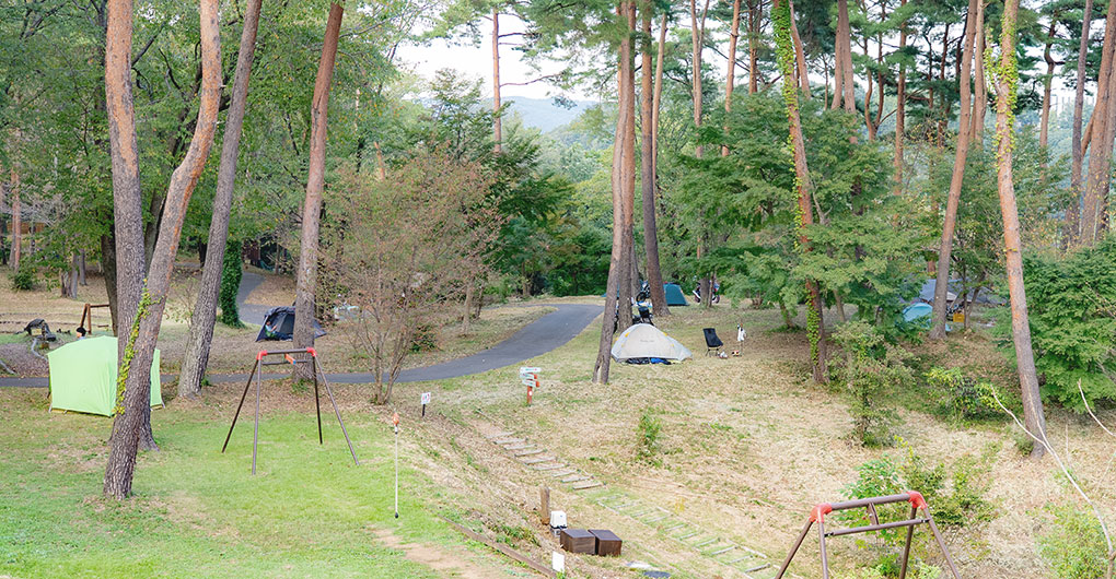 MotoGP™ FOREST RIDER’S CAMP