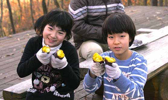 Baked Sweet Potatoes on a Bonfire