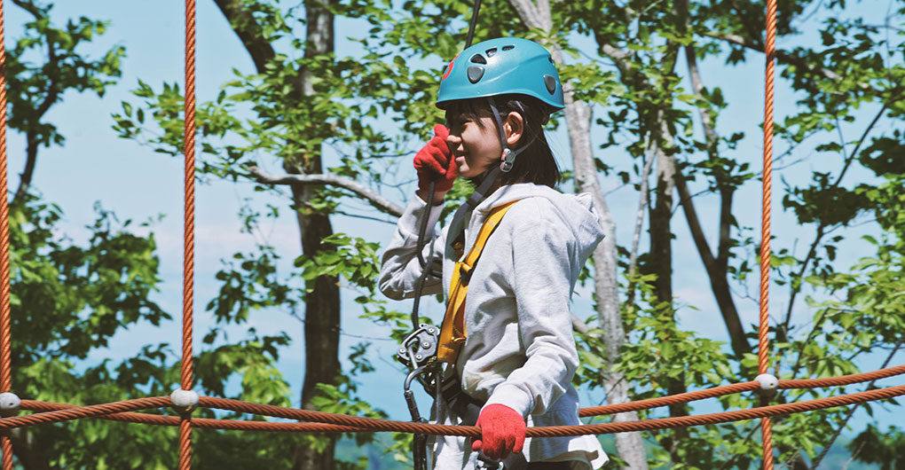 "Forest Zipline, Musasabi" soaring through the morning forest