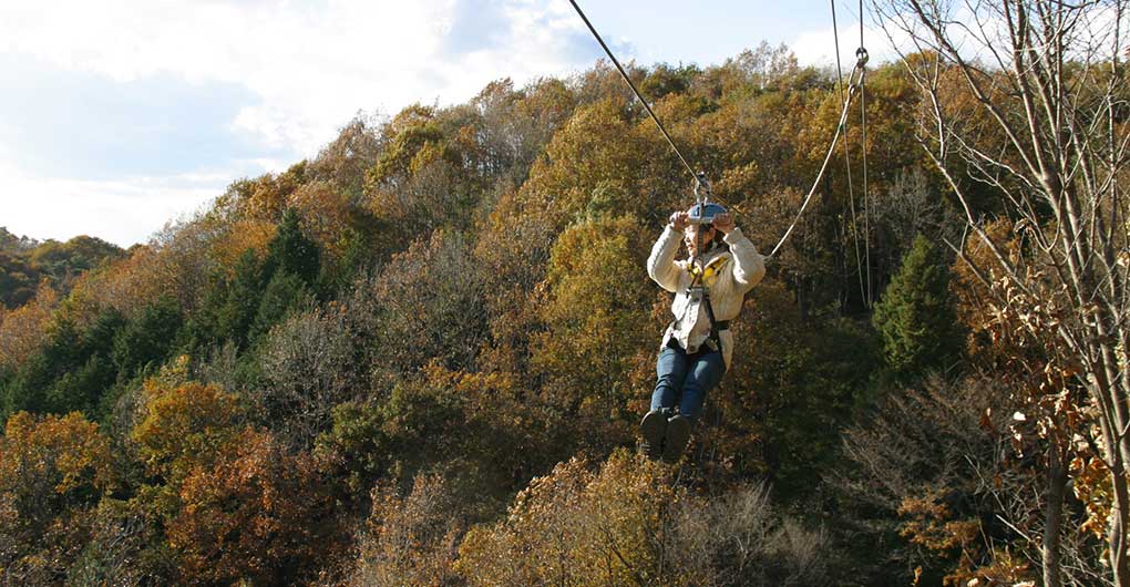 [For Lodgers Only] Soaring Through the Morning Forest: "Forest Zipline, Musasabi"