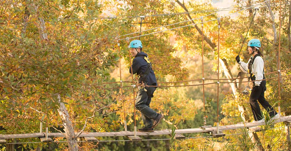 [For Lodgers Only] Soaring Through the Morning Forest: "Forest Zipline, Musasabi"
