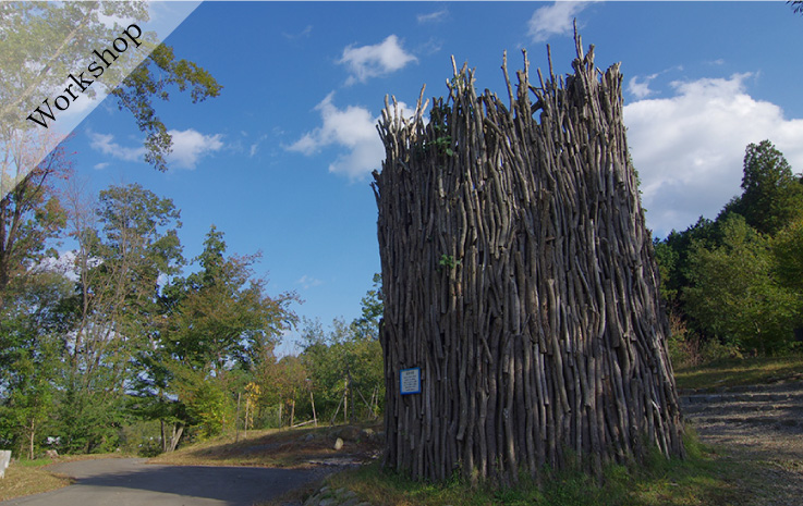 Forest Creation Workshop - Building the Tower of Life