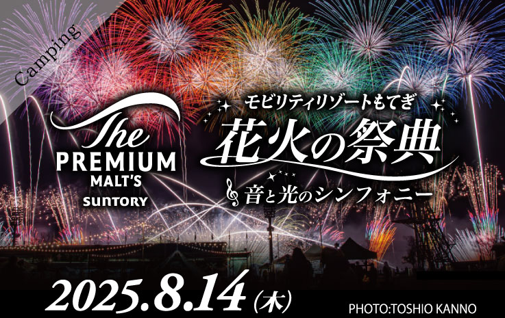 Acorn Square Site - Firework Festival Plan -