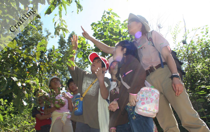 Wild Bird Feather Craft and Forest Walk