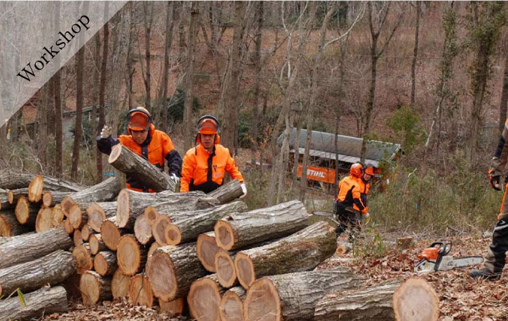 Forest Creation Workshop - Felling and Timber Extraction -