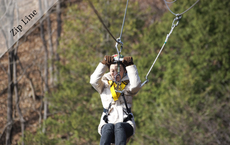 Forest Zipline, Musasabi