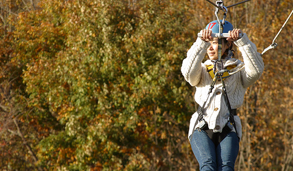 Enjoy the sunset on the Forest Zipline, Musasabi