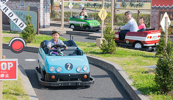 Forest Driving School