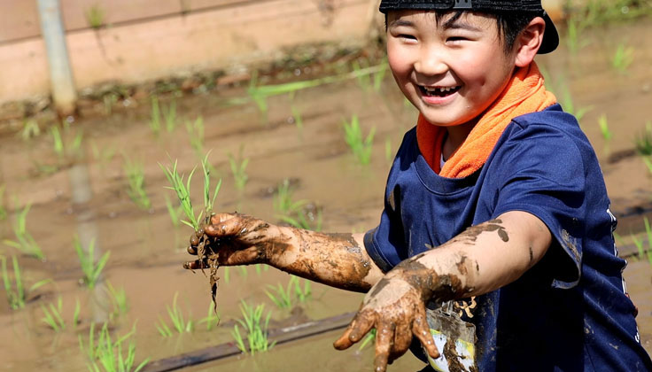 What kind of activity is "Rural Mountain Experience - Rice Planting Edition" at Hello Woods?