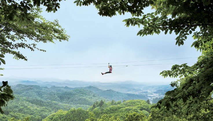 "Experience the Forest Zipline, Musasabi!"