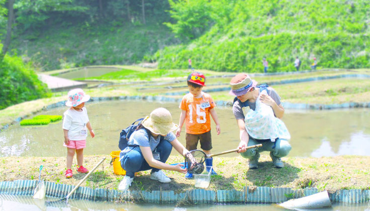 Experience the activity "Living Creature Doctor and Gasa Gasa Introduction" at Mobility Resort Motegi!