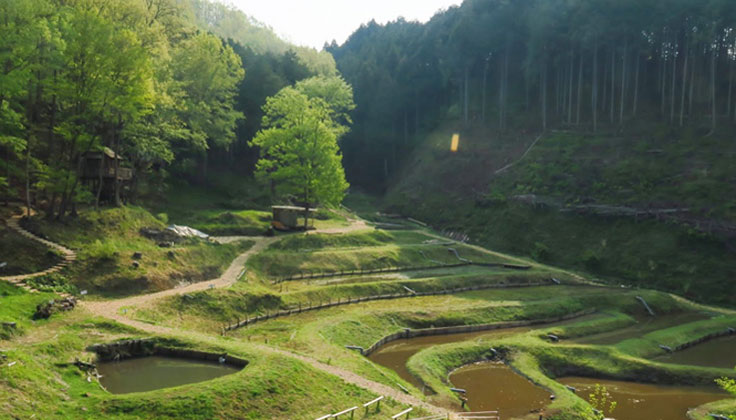 Can't see it anymore? What is the charm of the precious terraced rice fields?