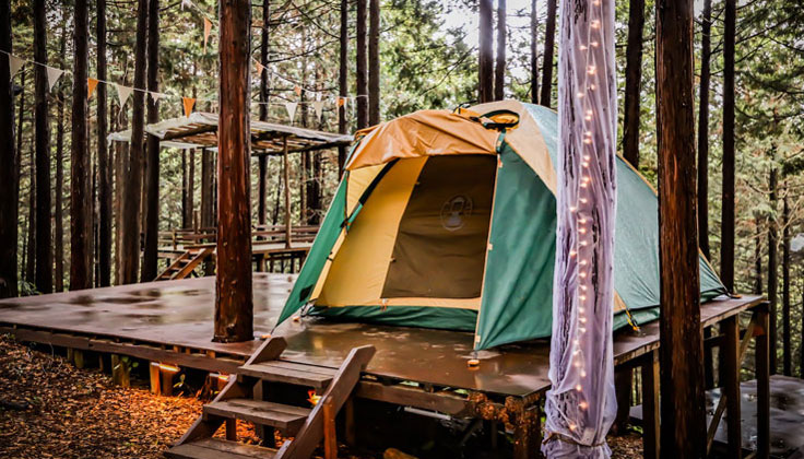 Beginner's must-see! What should I prepare for my first camping trip?