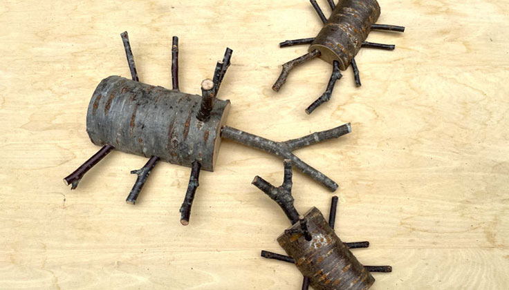 Experience "Beetles and Stag Beetles Made of Forest Craft Wood" at Mobility Resort Motegi!