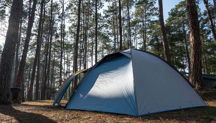 What is "tarp" often heard at campsites?