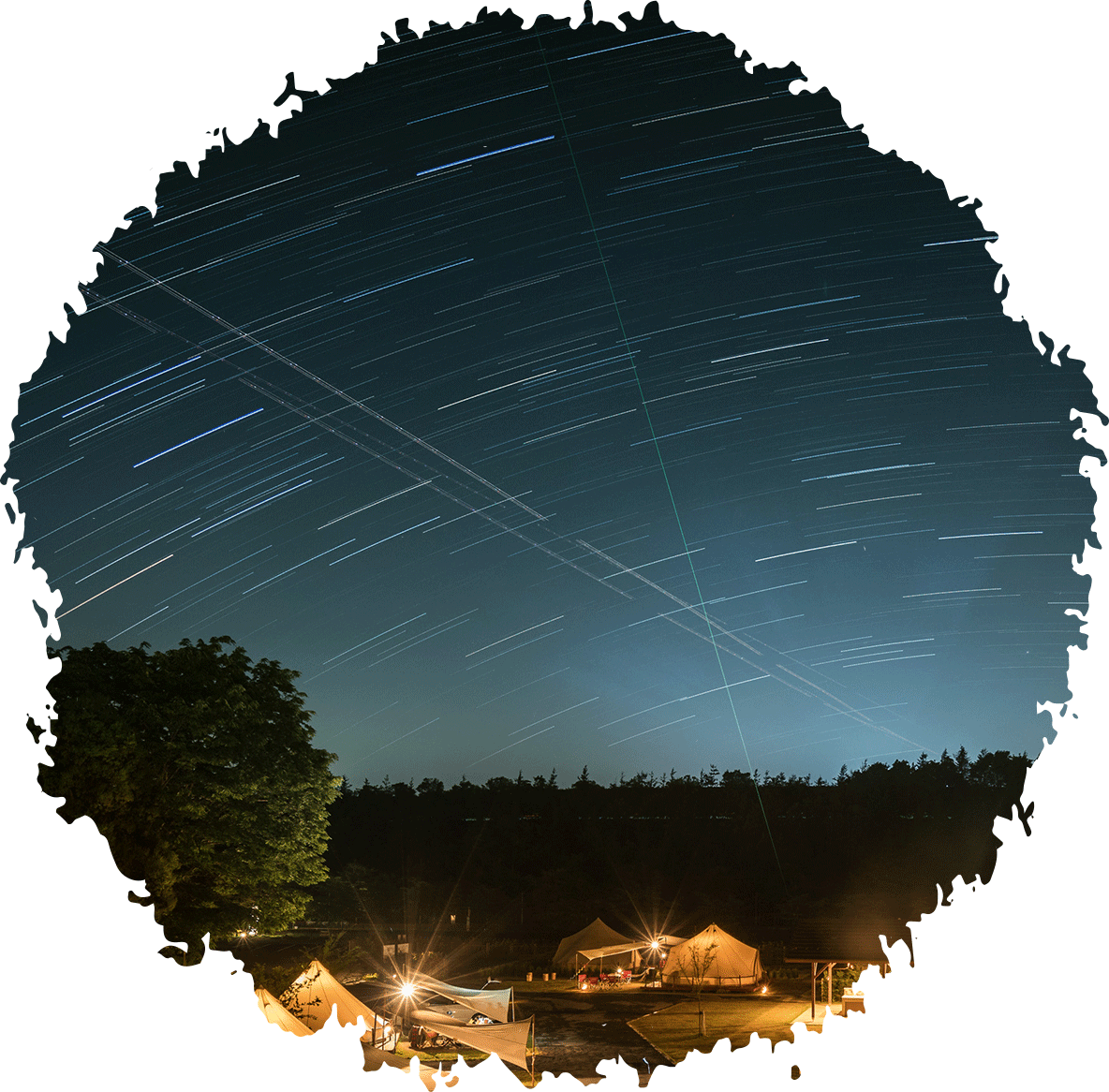 Starry sky, birds singing. Enjoy the ultimate outdoor experience in a comfortable forest.