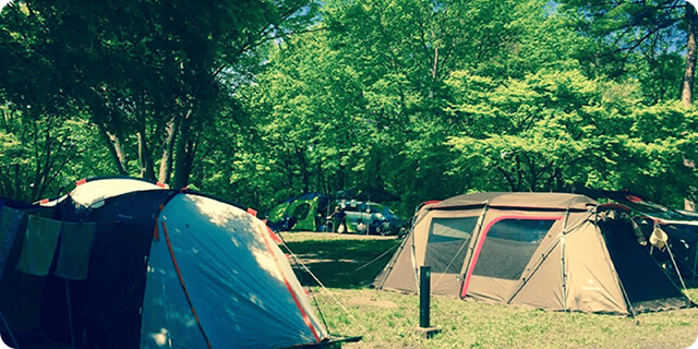 Camping