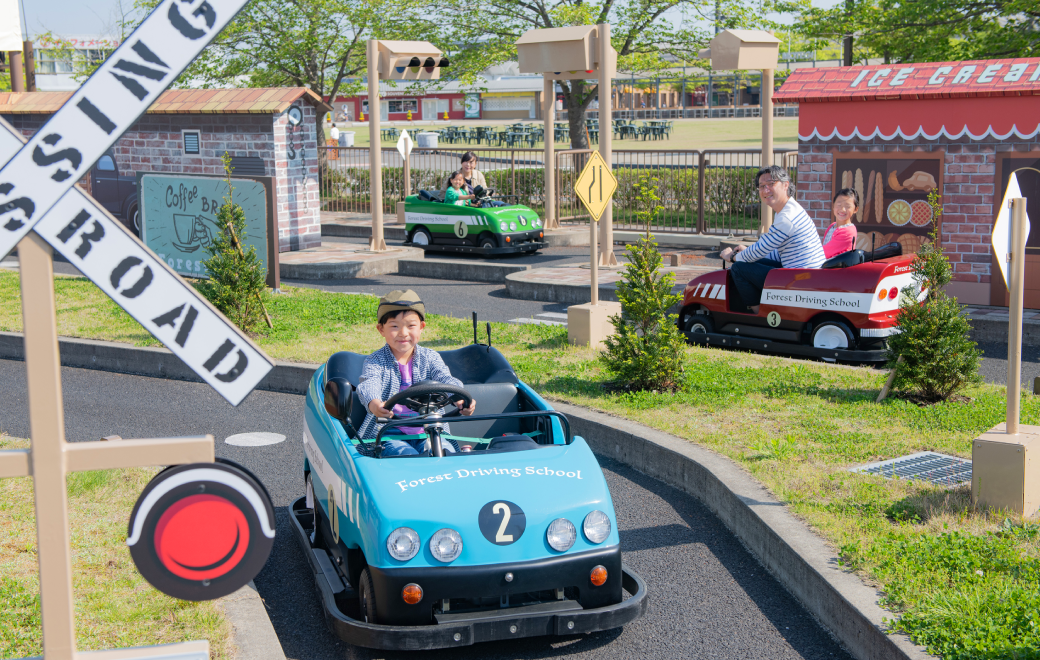Forest Driving School