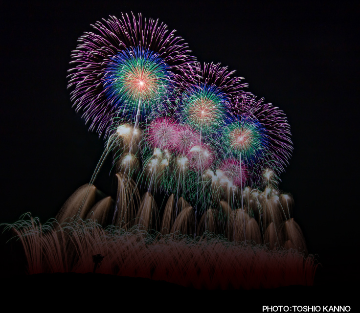 Mobility Resort Motegi Firework Festival