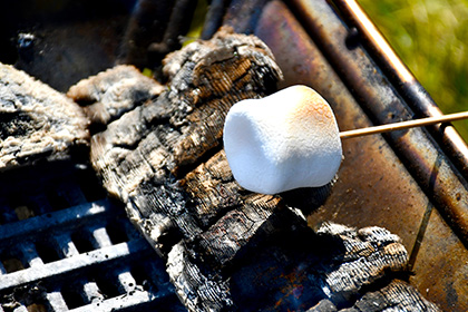 Warm Keyword Rally with Meito