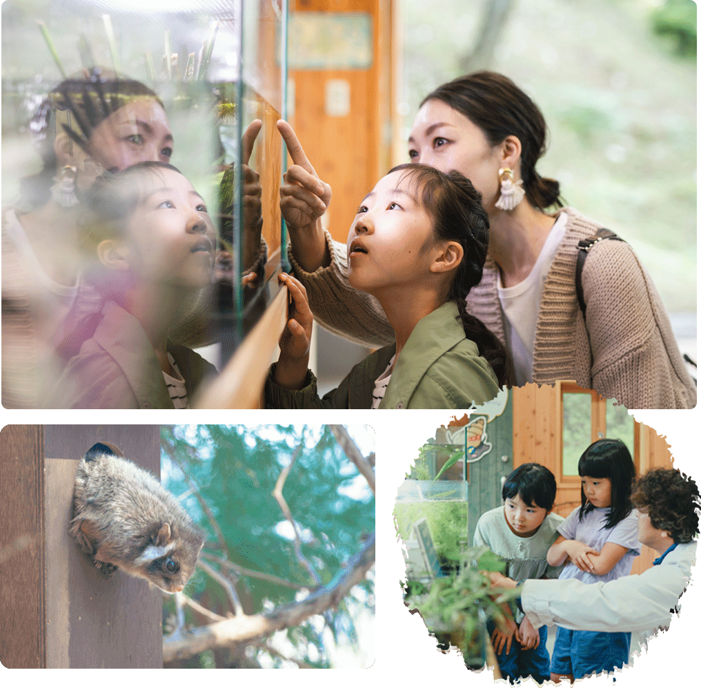 Animal Research Laboratory