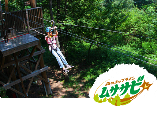 Forest Zipline, Musasabi