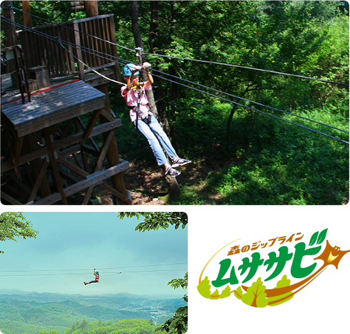 Forest Zipline, Musasabi